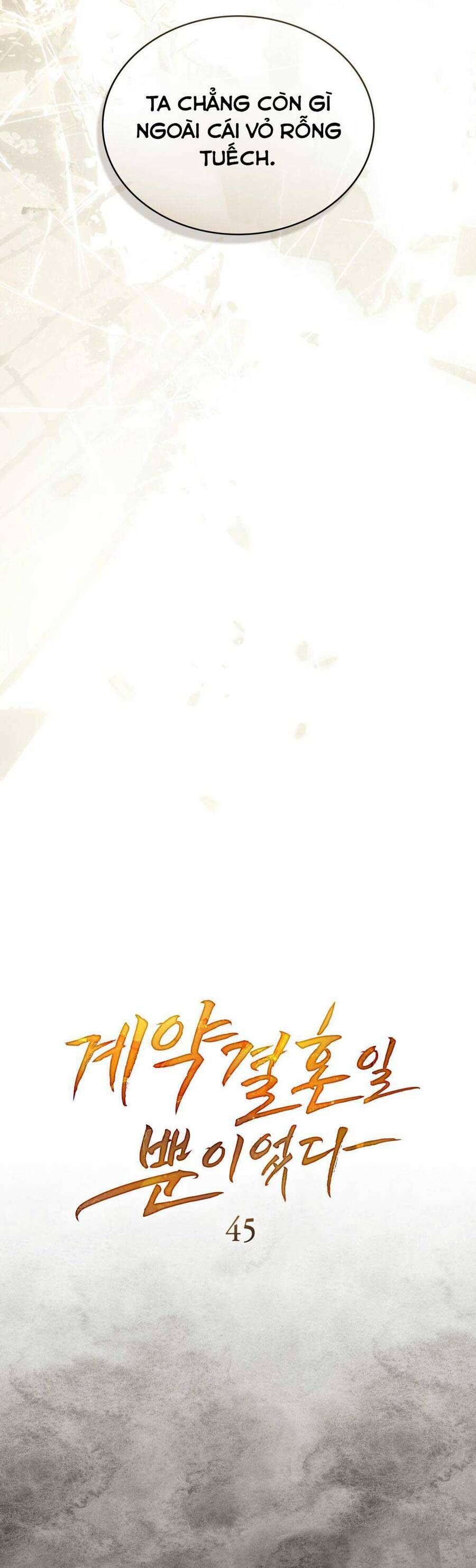 Hôn Nhân Khế Ước Chapter 45 - 11