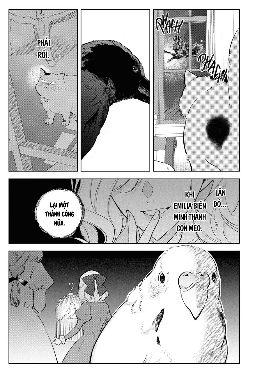Tiểu Thư Nhút Nhát Hóa Mèo, Lúc Suýt Chết Thì Được Công Tước Cứu Chapter 9 - 21