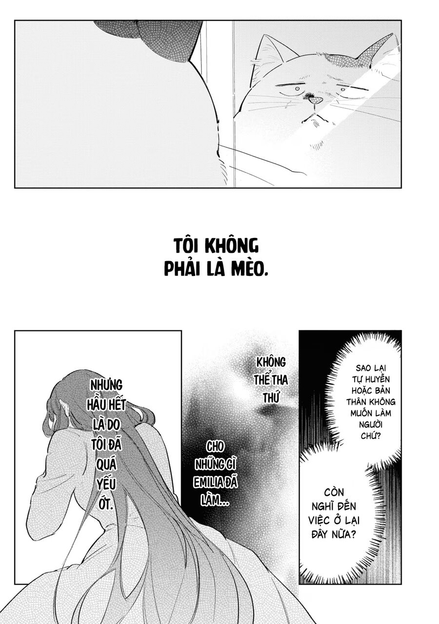 Tiểu Thư Nhút Nhát Hóa Mèo, Lúc Suýt Chết Thì Được Công Tước Cứu Chapter 9 - 25
