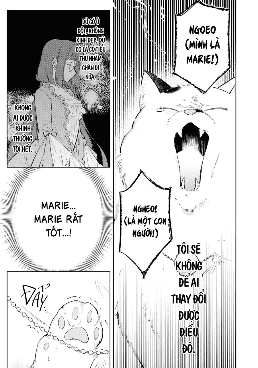 Tiểu Thư Nhút Nhát Hóa Mèo, Lúc Suýt Chết Thì Được Công Tước Cứu Chapter 9 - 27