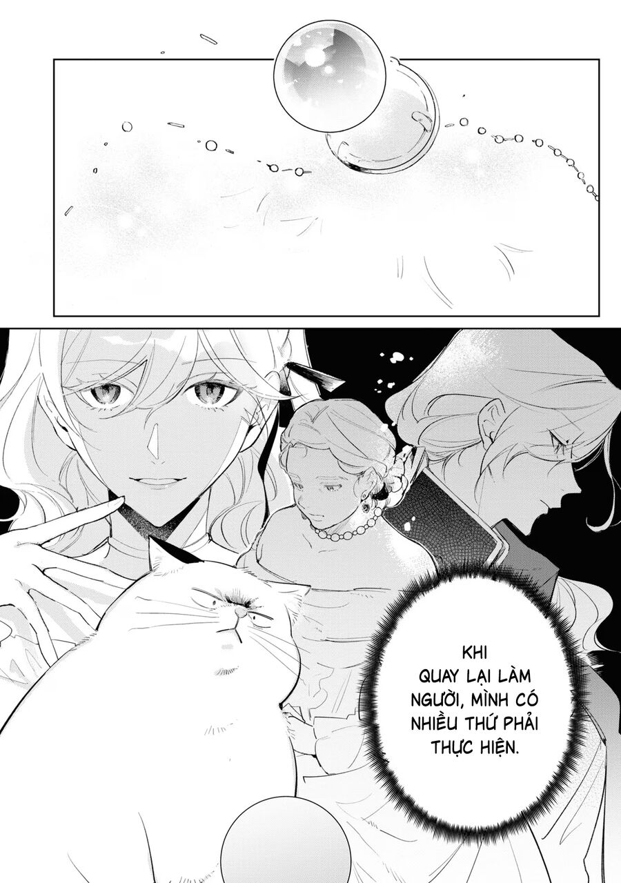 Tiểu Thư Nhút Nhát Hóa Mèo, Lúc Suýt Chết Thì Được Công Tước Cứu Chapter 9 - 28