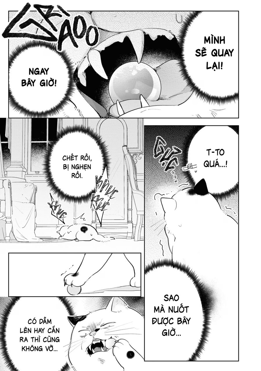 Tiểu Thư Nhút Nhát Hóa Mèo, Lúc Suýt Chết Thì Được Công Tước Cứu Chapter 9 - 29