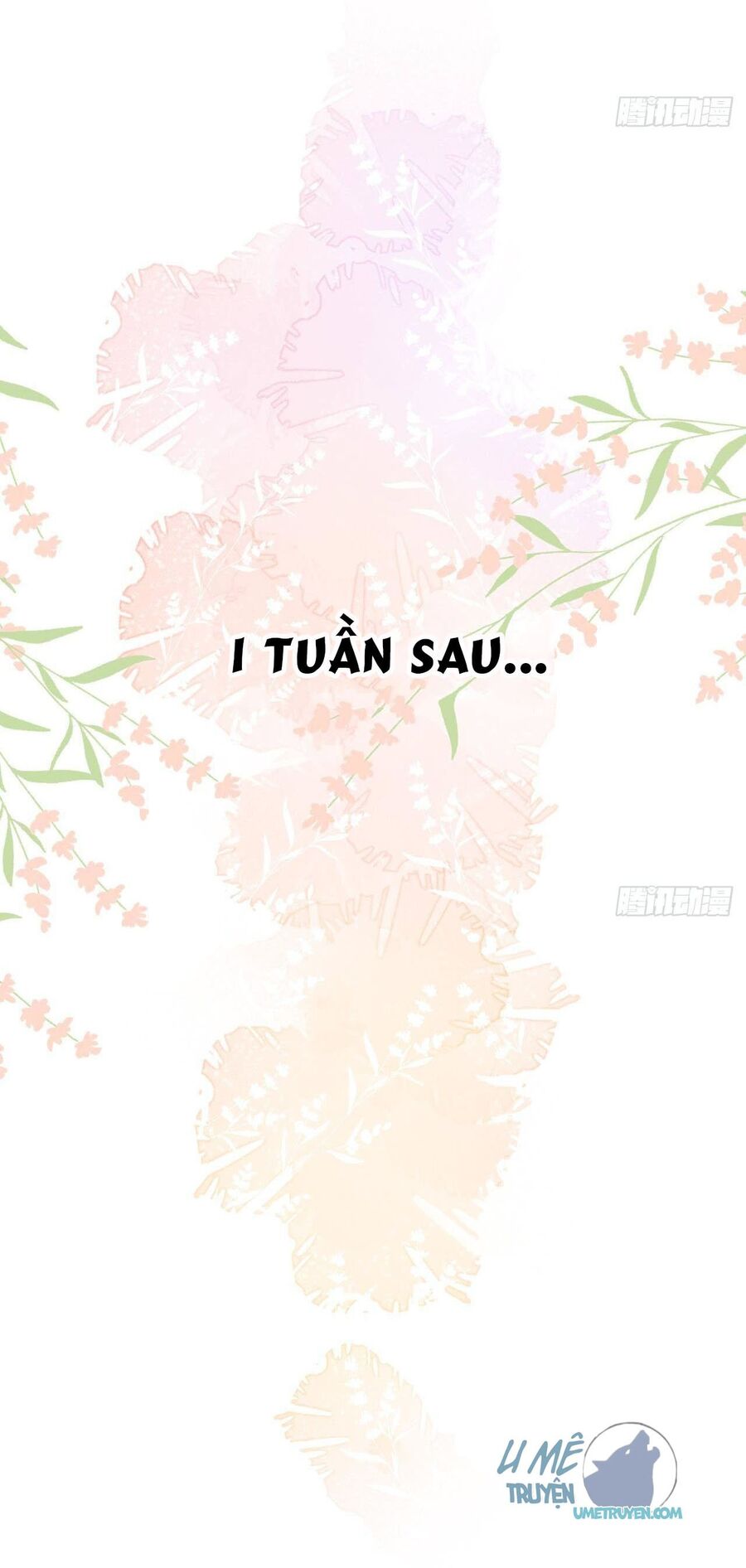 Tình Yêu Mạng Ngọt Ngào Lật Xe Rồi! Chapter 16 - 16