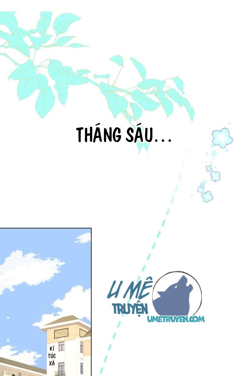 Tình Yêu Mạng Ngọt Ngào Lật Xe Rồi! Chapter 56 - 14