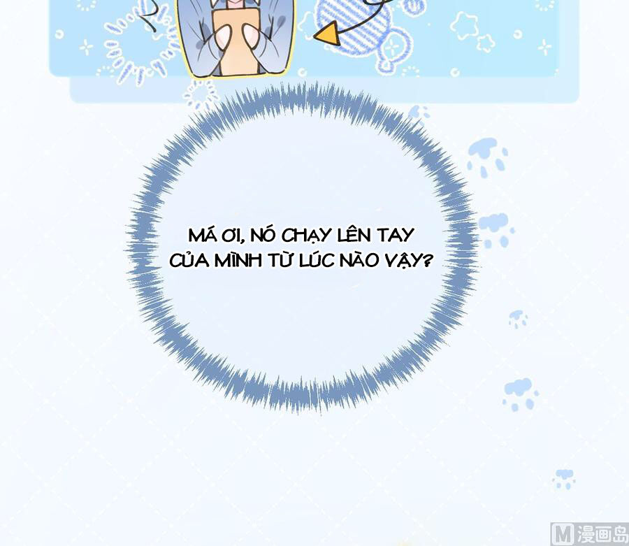 Tình Yêu Mạng Ngọt Ngào Lật Xe Rồi! Chapter 57 - 45