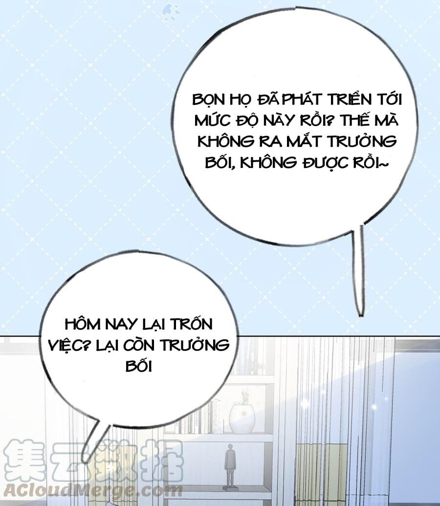 Tình Yêu Mạng Ngọt Ngào Lật Xe Rồi! Chapter 57 - 49