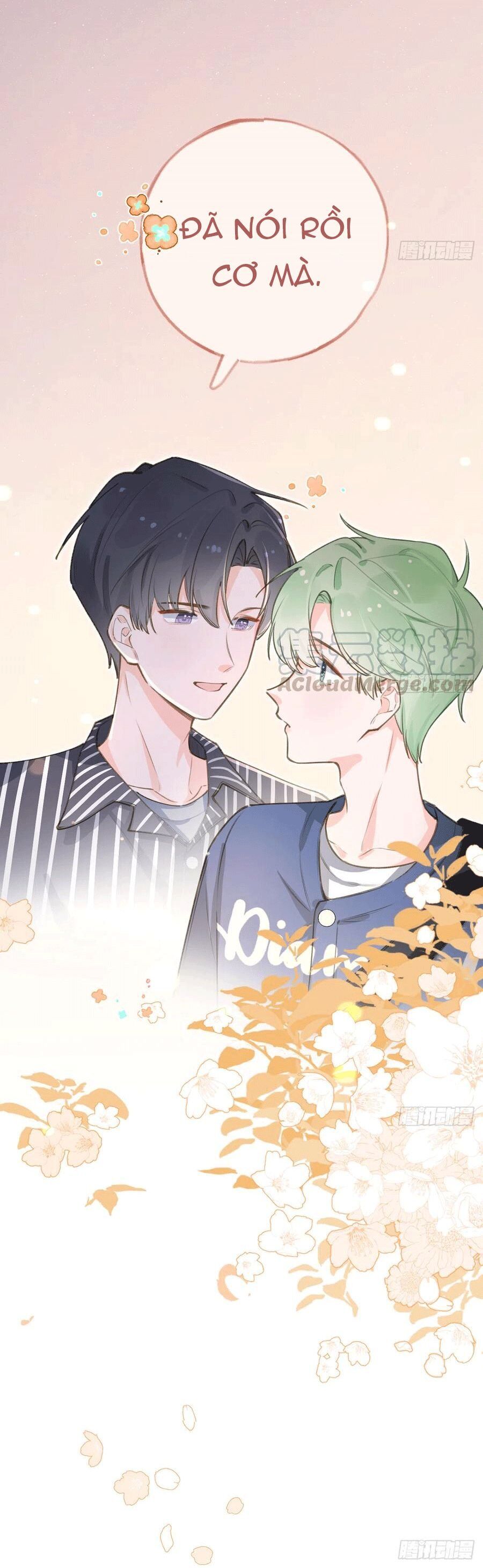 Tình Yêu Mạng Ngọt Ngào Lật Xe Rồi! Chapter 67 - 19