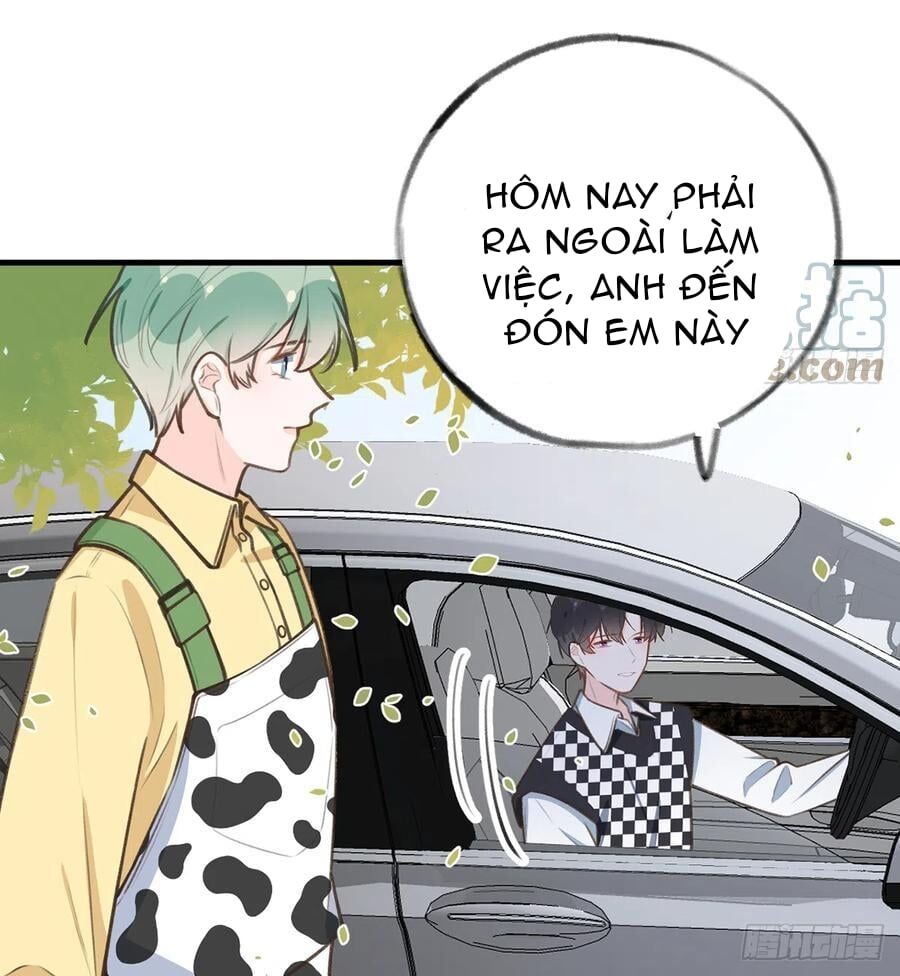 Tình Yêu Mạng Ngọt Ngào Lật Xe Rồi! Chapter 84 - 19