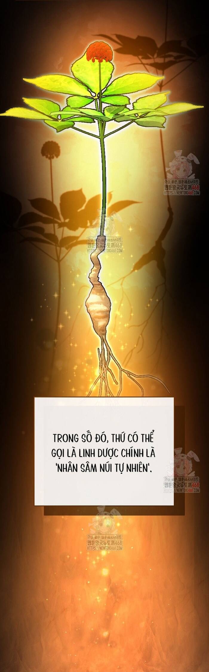 Kiếm Thánh Thiên Tài Của Học Viện Chapter 13 - 15