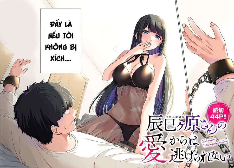 Không Thể Thoát Khỏi Tình Yêu Của Tatsumigahra Chapter 1 - 3