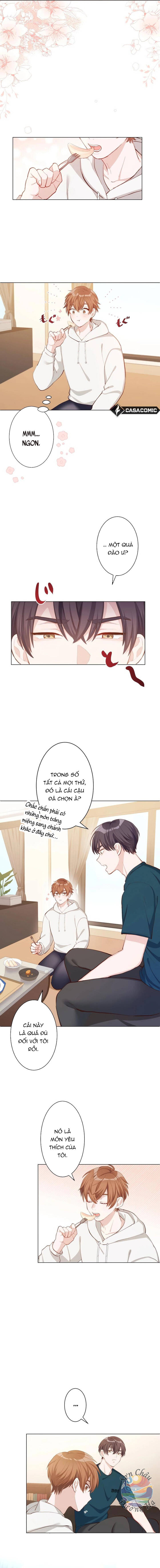 Hương Đào Hè Chapter 2 - 7