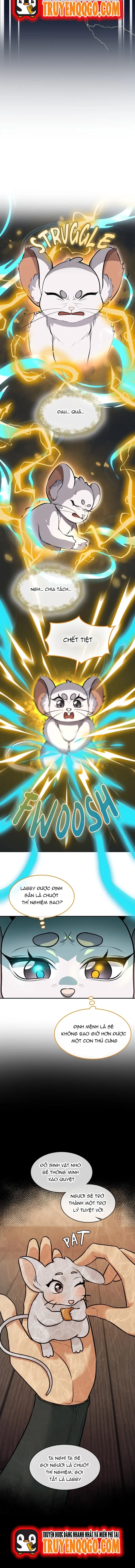 Chân Lý Tu Tiên Chapter 24 - 8