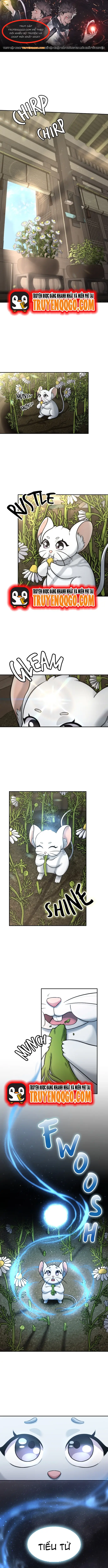 Chân Lý Tu Tiên Chapter 7 - 1