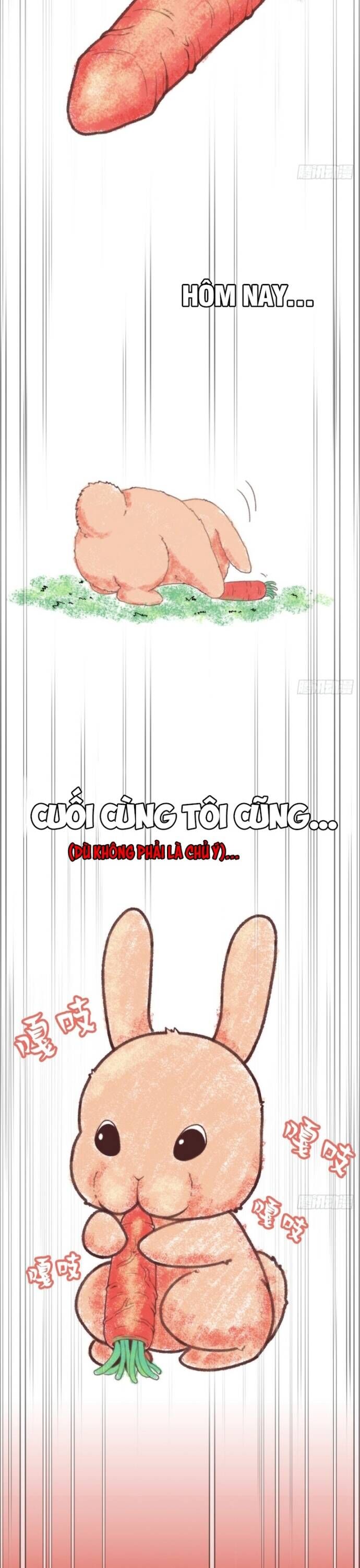 Hệ Thống Tận Thế Của Tôi Sụp Đổ Rồi Chapter 7 - 15