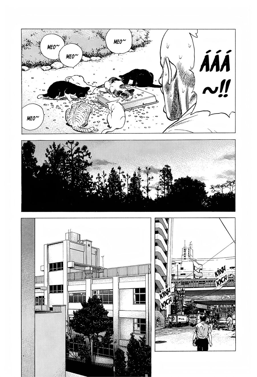 Bản Blues Vô Giá Trị Chapter 236 - 16