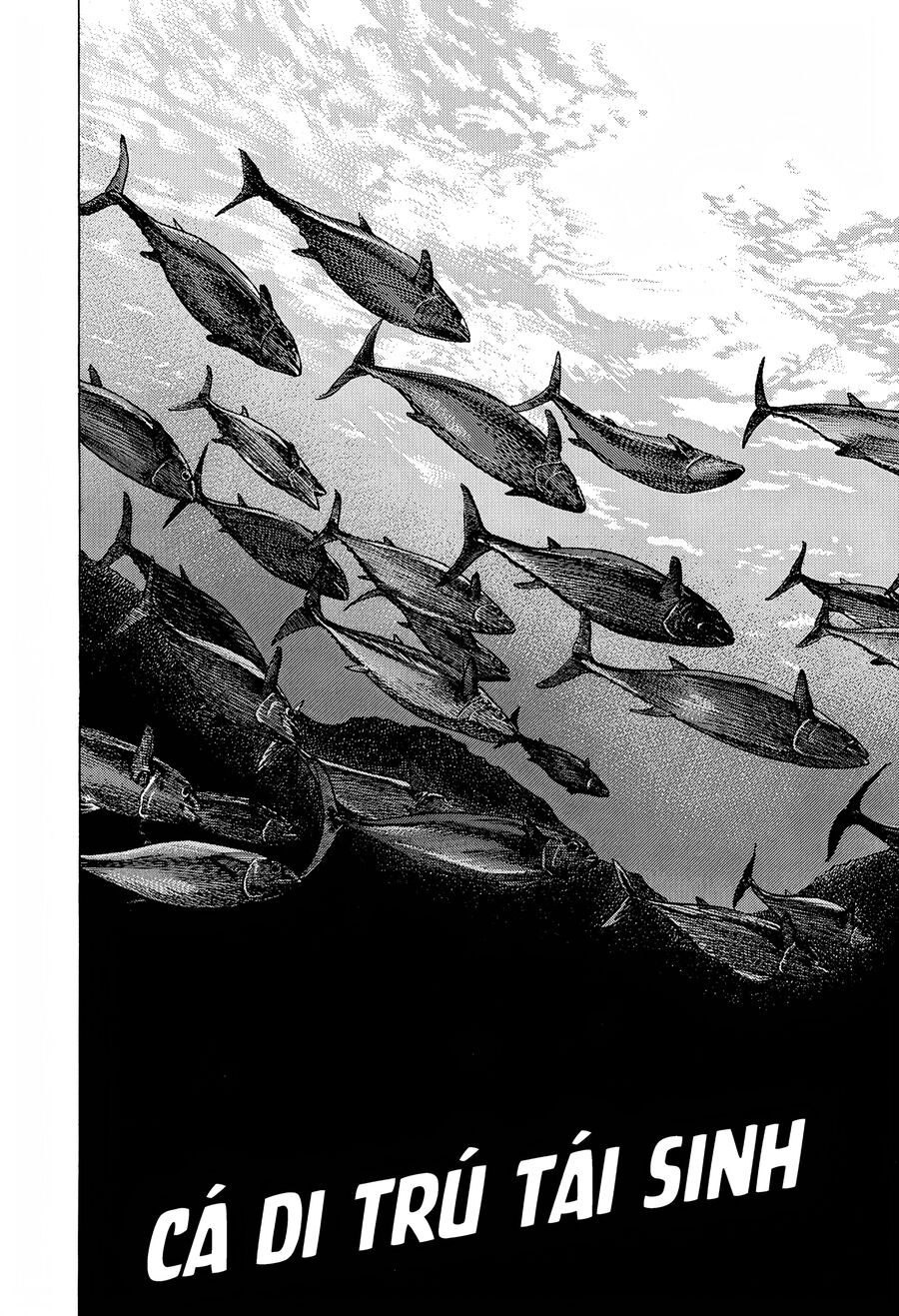 Bản Blues Vô Giá Trị Chapter 279 - 2