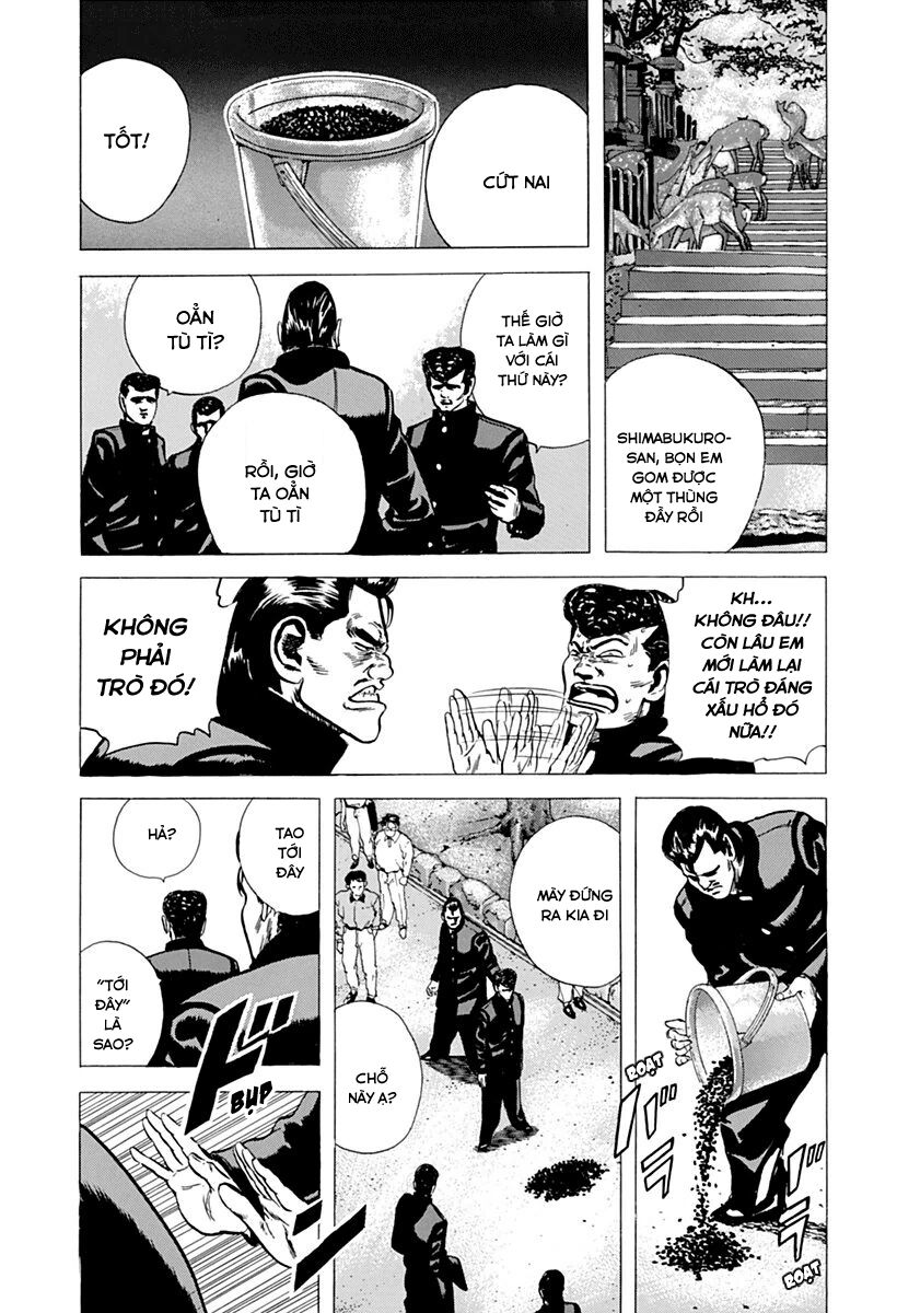 Bản Blues Vô Giá Trị Chapter 77 - 12