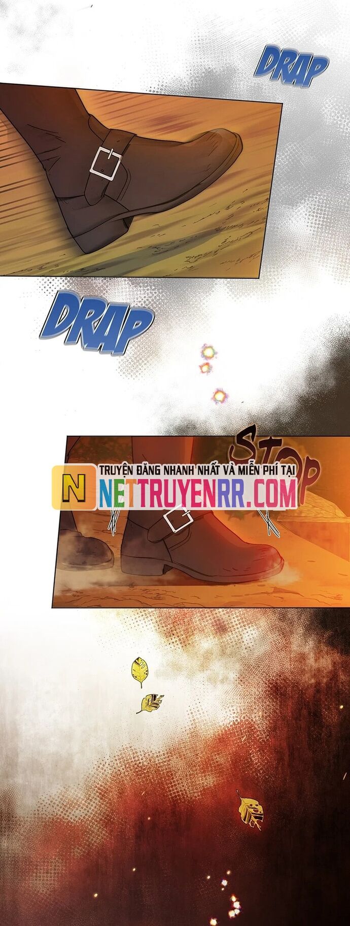 Hải Âu & Sói Hoang Chapter 1 - 18