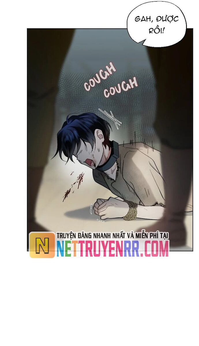 Hải Âu & Sói Hoang Chapter 1 - 78