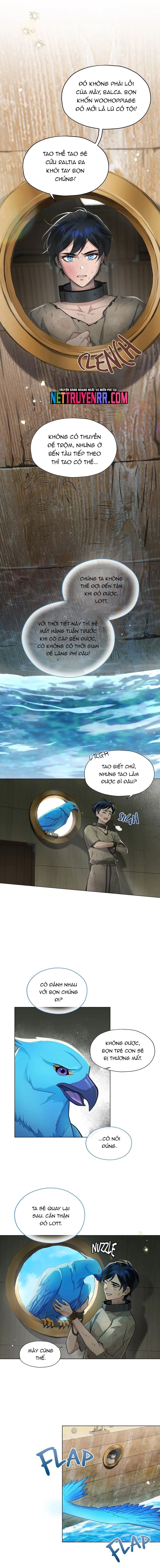 Hải Âu & Sói Hoang Chapter 2 - 8