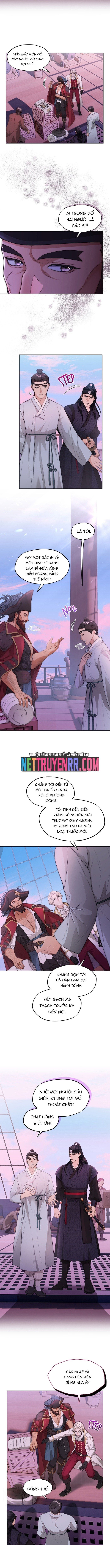 Hải Âu & Sói Hoang Chapter 21 - 5