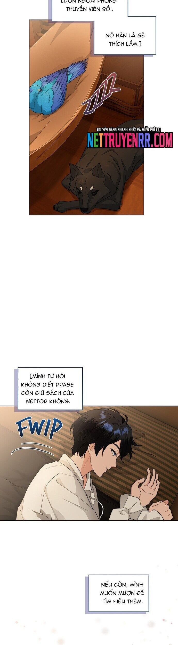 Hải Âu & Sói Hoang Chapter 24 - 22