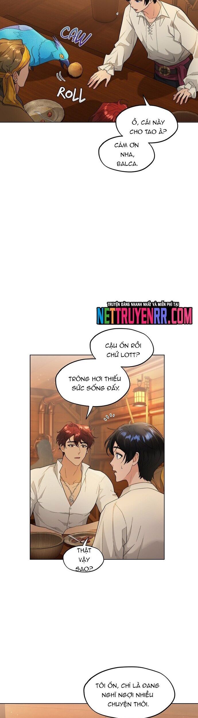 Hải Âu & Sói Hoang Chapter 24 - 26