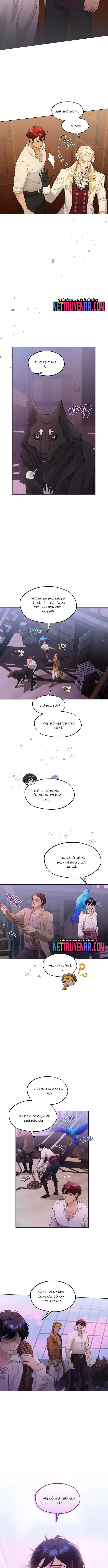 Hải Âu & Sói Hoang Chapter 26 - 7