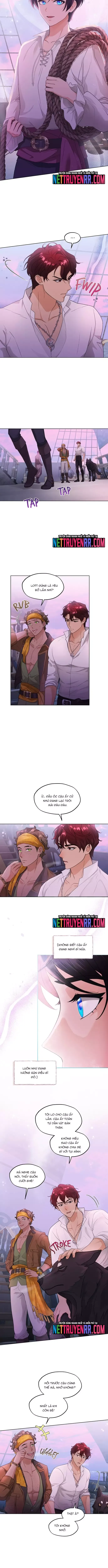 Hải Âu & Sói Hoang Chapter 26 - 8