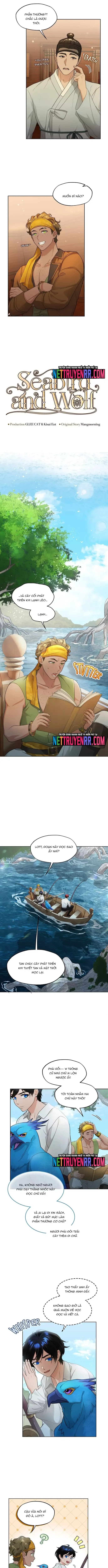 Hải Âu & Sói Hoang Chapter 27 - 5