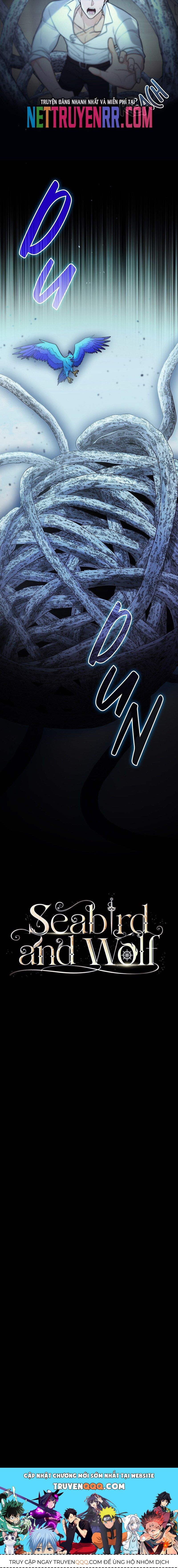 Hải Âu & Sói Hoang Chapter 29 - 11