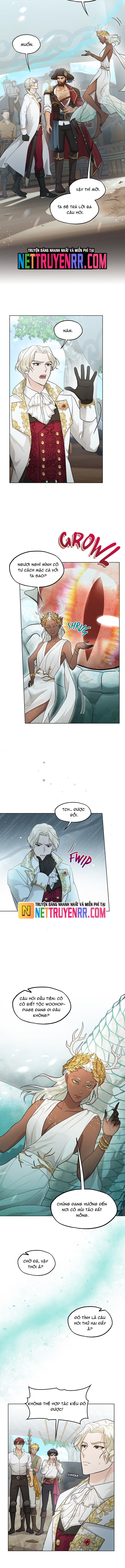 Hải Âu & Sói Hoang Chapter 29 - 5