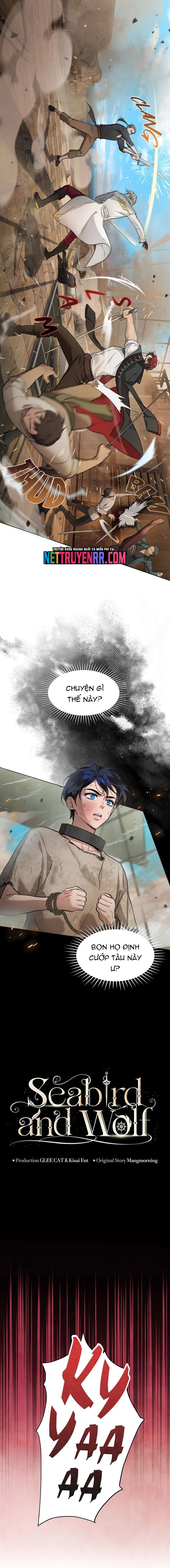 Hải Âu & Sói Hoang Chapter 3 - 2