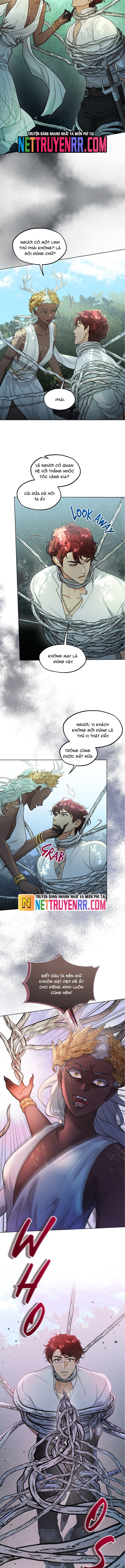 Hải Âu & Sói Hoang Chapter 30 - 11