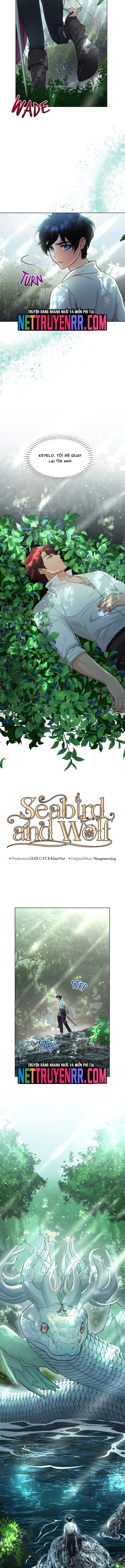 Hải Âu & Sói Hoang Chapter 30 - 3