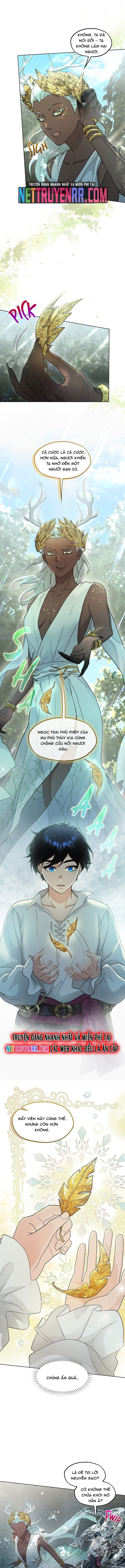 Hải Âu & Sói Hoang Chapter 30 - 6
