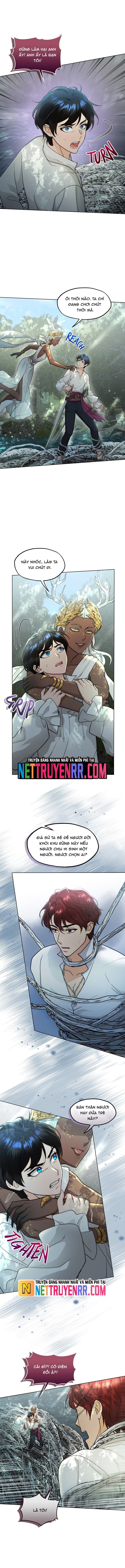 Hải Âu & Sói Hoang Chapter 30 - 9