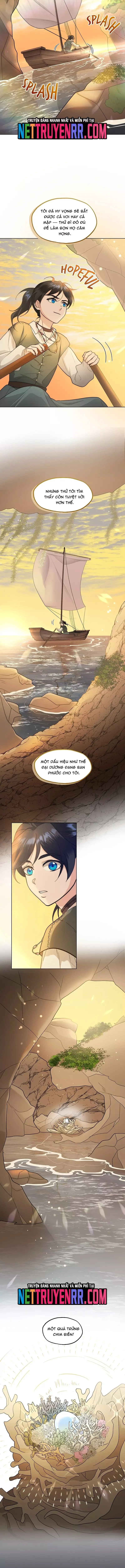 Hải Âu & Sói Hoang Chapter 31 - 11