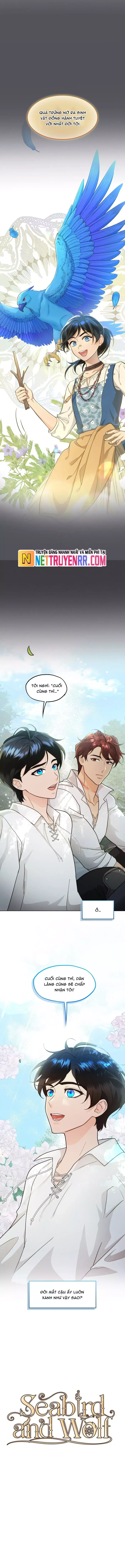 Hải Âu & Sói Hoang Chapter 31 - 12