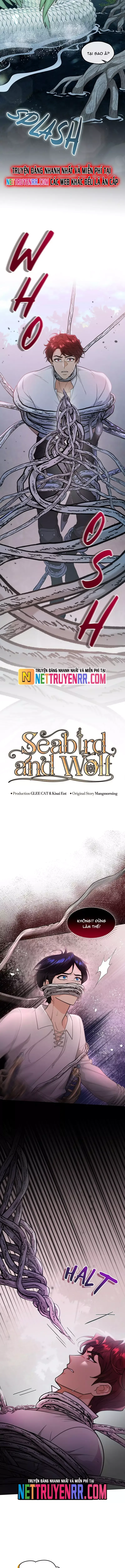 Hải Âu & Sói Hoang Chapter 31 - 3