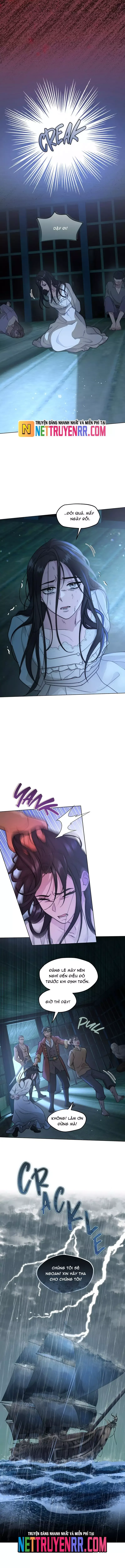 Hải Âu & Sói Hoang Chapter 32 - 12