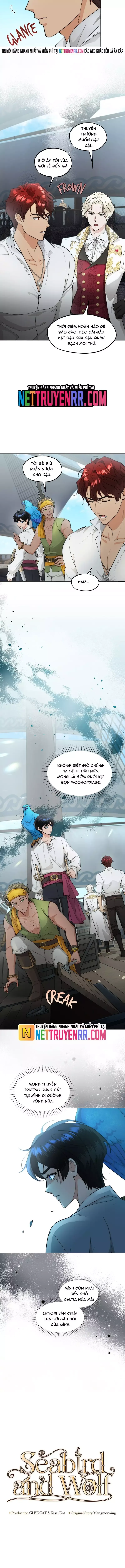 Hải Âu & Sói Hoang Chapter 32 - 7