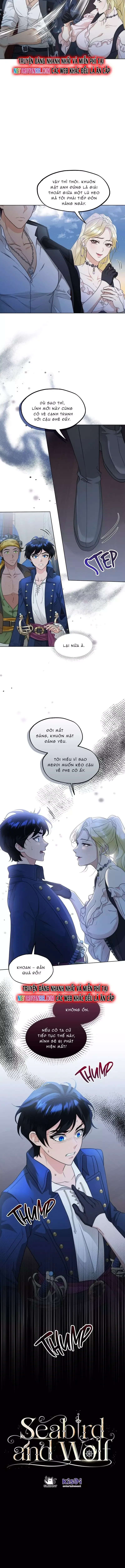 Hải Âu & Sói Hoang Chapter 34 - 12