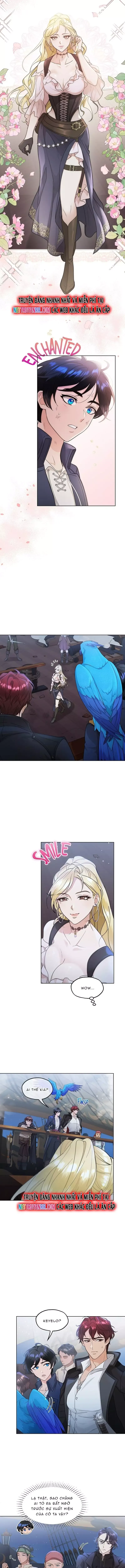 Hải Âu & Sói Hoang Chapter 34 - 4