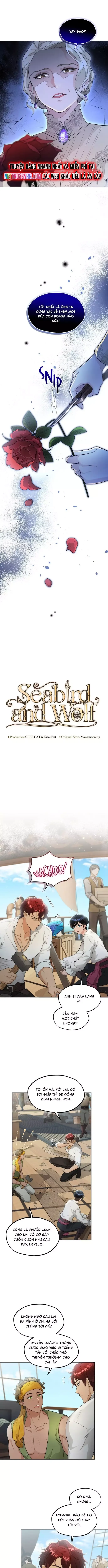 Hải Âu & Sói Hoang Chapter 36 - 5