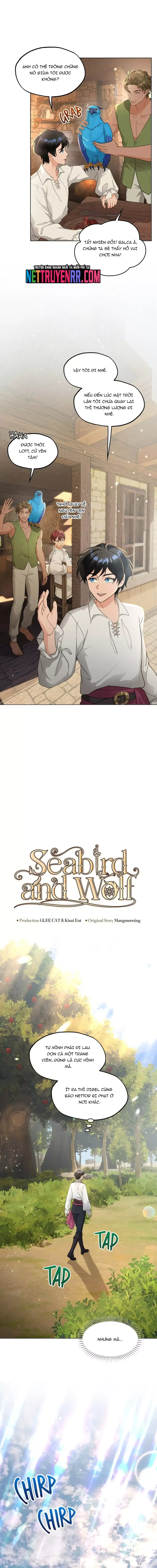 Hải Âu & Sói Hoang Chapter 37 - 4
