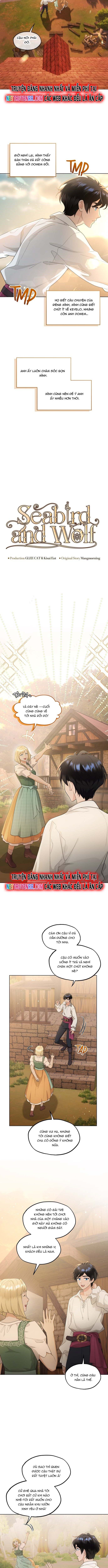 Hải Âu & Sói Hoang Chapter 38 - 2