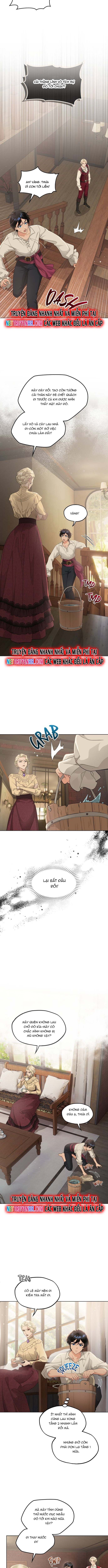 Hải Âu & Sói Hoang Chapter 38 - 8