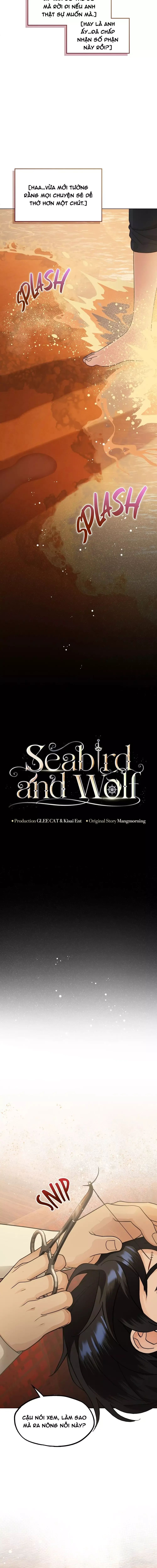Hải Âu & Sói Hoang Chapter 39 - 6