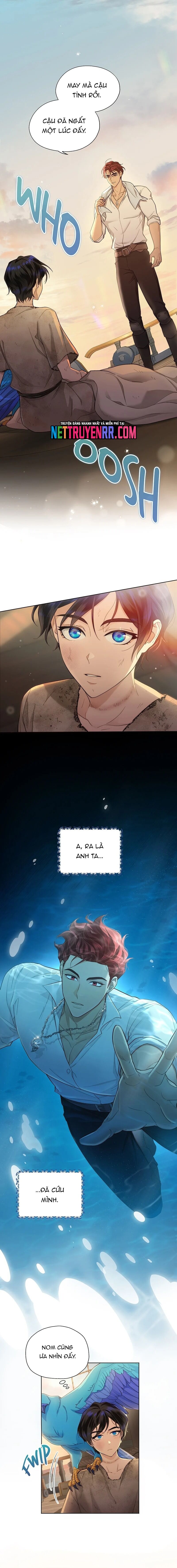 Hải Âu & Sói Hoang Chapter 4 - 2